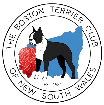 Boston Terrier Club of NSW Logo